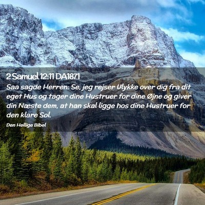Picture 02 - 2 Samuel 12:11 DA1871 - Saa sagde Herren: Se, jeg rejser Ulykke over dig - Bible Verse Picture