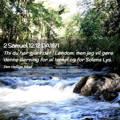 Picture 02 - 2 Samuel 12:12 DA1871 - Thi du har gjort det i Løndom; men jeg vil gøre - Bible Verse Picture