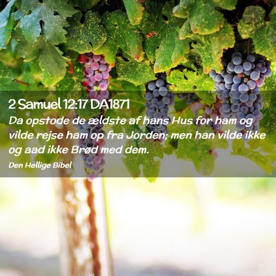Picture 02 - 2 Samuel 12:17 DA1871 - Da opstode de ældste af hans Hus for ham og - Bible Verse Picture