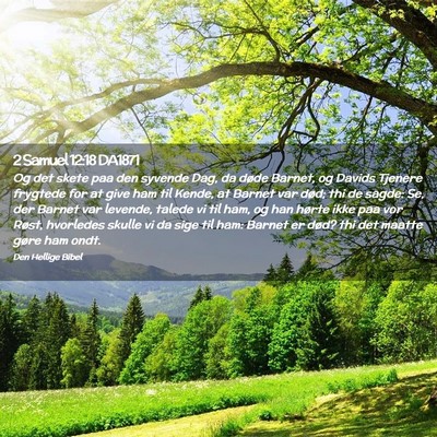 Picture 02 - 2 Samuel 12:18 DA1871 - Og det skete paa den syvende Dag, da døde - Bible Verse Picture