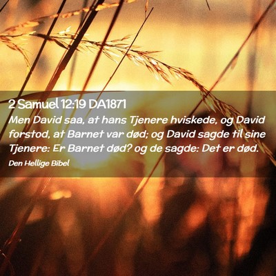 Picture 02 - 2 Samuel 12:19 DA1871 - Men David saa, at hans Tjenere hviskede, og David - Bible Verse Picture