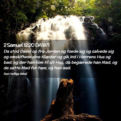 Picture 02 - 2 Samuel 12:20 DA1871 - Da stod David op fra Jorden og toede sig og - Bible Verse Picture