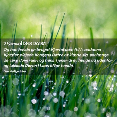 Picture 02 - 2 Samuel 13:18 DA1871 - Og hun havde en broget Kjortel paa; thi i - Bible Verse Picture