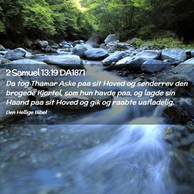 Picture 02 - 2 Samuel 13:19 DA1871 - Da tog Thamar Aske paa sit Hoved og sønderrev - Bible Verse Picture