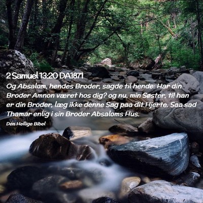 Picture 02 - 2 Samuel 13:20 DA1871 - Og Absalom, hendes Broder, sagde til hende: Har - Bible Verse Picture