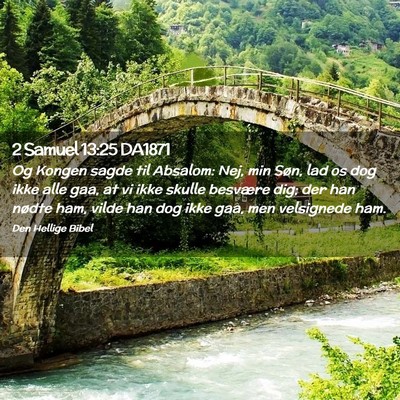 Picture 02 - 2 Samuel 13:25 DA1871 - Og Kongen sagde til Absalom: Nej, min Søn, lad - Bible Verse Picture