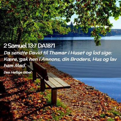 Picture 02 - 2 Samuel 13:7 DA1871 - Da sendte David til Thamar i Huset og lod sige: - Bible Verse Picture