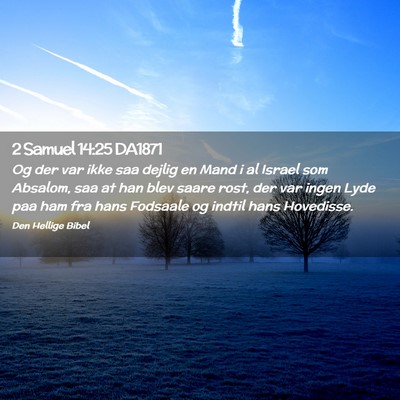 Picture 02 - 2 Samuel 14:25 DA1871 - Og der var ikke saa dejlig en Mand i al Israel - Bible Verse Picture