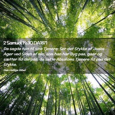 Picture 02 - 2 Samuel 14:30 DA1871 - Da sagde han til sine Tjenere: Ser det Stykke af - Bible Verse Picture