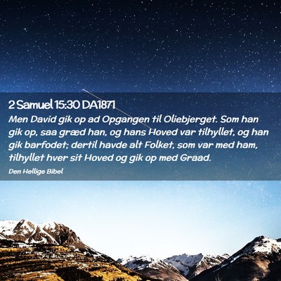 Picture 02 - 2 Samuel 15:30 DA1871 - Men David gik op ad Opgangen til Oliebjerget. Som - Bible Verse Picture
