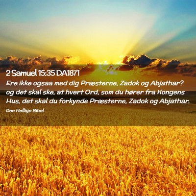 Picture 02 - 2 Samuel 15:35 DA1871 - Ere ikke ogsaa med dig Præsterne, Zadok og - Bible Verse Picture