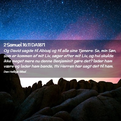 Picture 02 - 2 Samuel 16:11 DA1871 - Og David sagde til Abisaj og til alle sine - Bible Verse Picture