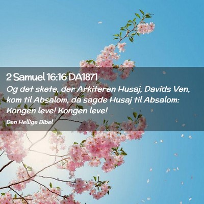 Picture 02 - 2 Samuel 16:16 DA1871 - Og det skete, der Arkiteren Husaj, Davids Ven, - Bible Verse Picture