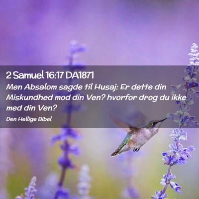 Picture 02 - 2 Samuel 16:17 DA1871 - Men Absalom sagde til Husaj: Er dette din - Bible Verse Picture