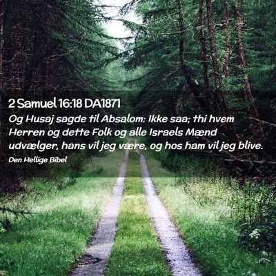 Picture 02 - 2 Samuel 16:18 DA1871 - Og Husaj sagde til Absalom: Ikke saa; thi hvem - Bible Verse Picture