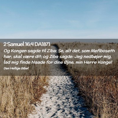 Picture 02 - 2 Samuel 16:4 DA1871 - Og Kongen sagde til Ziba: Se, alt det, som - Bible Verse Picture