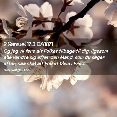 Picture 02 - 2 Samuel 17:3 DA1871 - Og jeg vil føre alt Folket tilbage til dig; - Bible Verse Picture