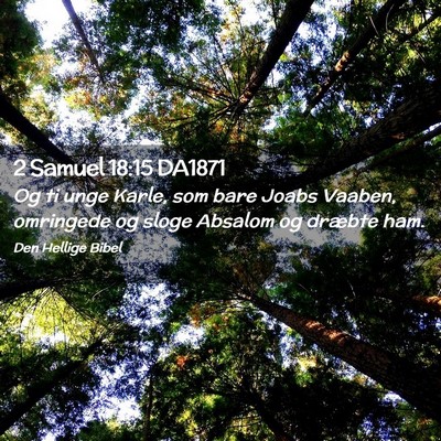 Picture 02 - 2 Samuel 18:15 DA1871 - Og ti unge Karle, som bare Joabs Vaaben, - Bible Verse Picture