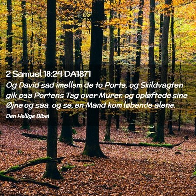 Picture 02 - 2 Samuel 18:24 DA1871 - Og David sad imellem de to Porte, og Skildvagten - Bible Verse Picture