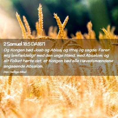 Picture 02 - 2 Samuel 18:5 DA1871 - Og Kongen bød Joab og Abisaj og Ithaj og sagde: - Bible Verse Picture