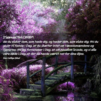 Picture 02 - 2 Samuel 19:6 DA1871 - da du elsker dem, som hade dig, og hader dem, som - Bible Verse Picture