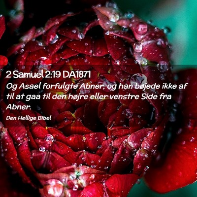 Picture 02 - 2 Samuel 2:19 DA1871 - Og Asael forfulgte Abner, og han bøjede ikke af - Bible Verse Picture