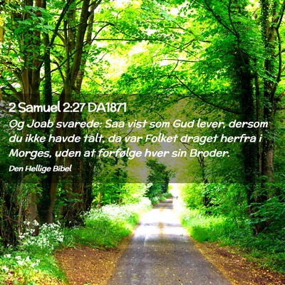 Picture 02 - 2 Samuel 2:27 DA1871 - Og Joab svarede: Saa vist som Gud lever, dersom - Bible Verse Picture