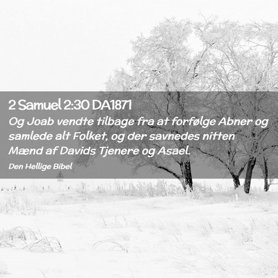 Picture 02 - 2 Samuel 2:30 DA1871 - Og Joab vendte tilbage fra at forfølge Abner og - Bible Verse Picture