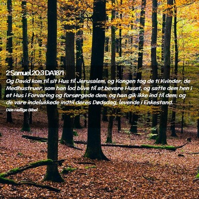 Picture 02 - 2 Samuel 20:3 DA1871 - Og David kom til sit Hus til Jerusalem, og Kongen - Bible Verse Picture