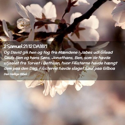 Picture 02 - 2 Samuel 21:12 DA1871 - Og David gik hen og tog fra Mændene i Jabes udi - Bible Verse Picture