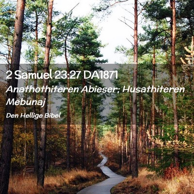 Picture 02 - 2 Samuel 23:27 DA1871 - Anathothiteren Abieser; Husathiteren - Bible Verse Picture