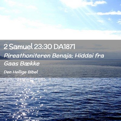 Picture 02 - 2 Samuel 23:30 DA1871 - Pireathoniteren Benaja; Hiddai fra Gaas - Bible Verse Picture