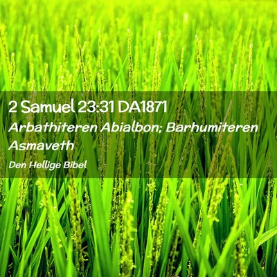 Picture 02 - 2 Samuel 23:31 DA1871 - Arbathiteren Abialbon; Barhumiteren - Bible Verse Picture