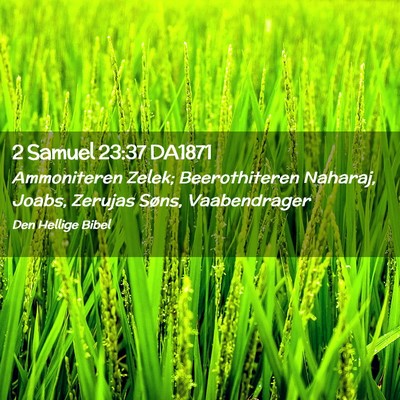 Picture 02 - 2 Samuel 23:37 DA1871 - Ammoniteren Zelek; Beerothiteren Naharaj, Joabs, - Bible Verse Picture