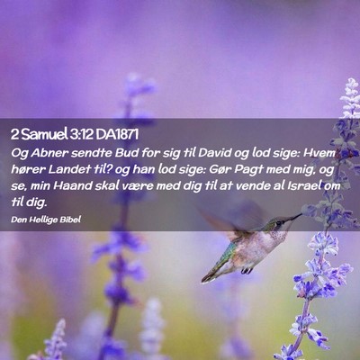 Picture 02 - 2 Samuel 3:12 DA1871 - Og Abner sendte Bud for sig til David og lod - Bible Verse Picture