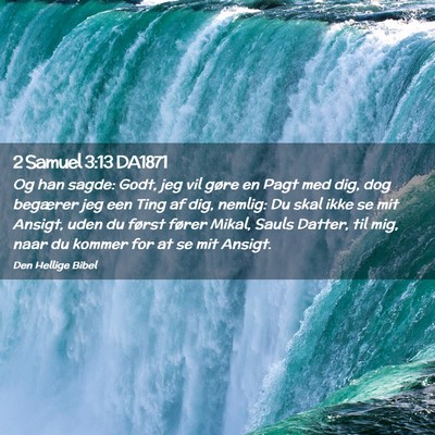 Picture 02 - 2 Samuel 3:13 DA1871 - Og han sagde: Godt, jeg vil gøre en Pagt med - Bible Verse Picture