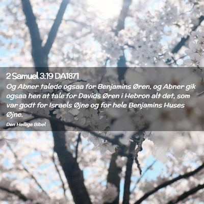 Picture 02 - 2 Samuel 3:19 DA1871 - Og Abner talede ogsaa for Benjamins Øren, og - Bible Verse Picture