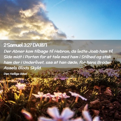Picture 02 - 2 Samuel 3:27 DA1871 - Der Abner kom tilbage til Hebron, da ledte Joab - Bible Verse Picture
