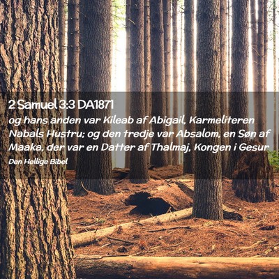 Picture 02 - 2 Samuel 3:3 DA1871 - og hans anden var Kileab af Abigail, Karmeliteren - Bible Verse Picture