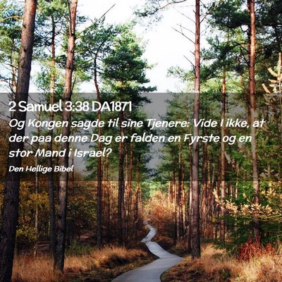 Picture 02 - 2 Samuel 3:38 DA1871 - Og Kongen sagde til sine Tjenere: Vide I ikke, at - Bible Verse Picture