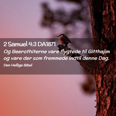 Picture 02 - 2 Samuel 4:3 DA1871 - Og Beerothiterne vare flygtede til Gitthajim og - Bible Verse Picture