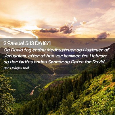 Picture 02 - 2 Samuel 5:13 DA1871 - Og David tog endnu Medhustruer og Hustruer af - Bible Verse Picture