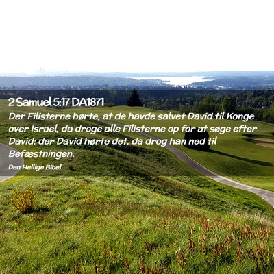 Picture 02 - 2 Samuel 5:17 DA1871 - Der Filisterne hørte, at de havde salvet David - Bible Verse Picture