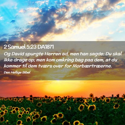 Picture 02 - 2 Samuel 5:23 DA1871 - Og David spurgte Herren ad, men han sagde: Du - Bible Verse Picture