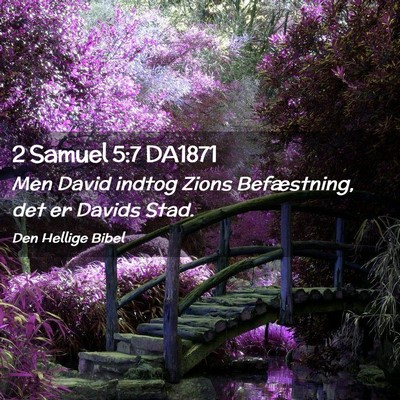 Picture 02 - 2 Samuel 5:7 DA1871 - Men David indtog Zions Befæstning, det er Davids - Bible Verse Picture