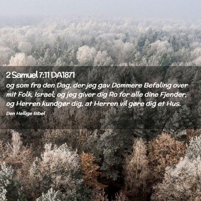 Picture 02 - 2 Samuel 7:11 DA1871 - og som fra den Dag, der jeg gav Dommere Befaling - Bible Verse Picture