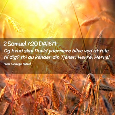 Picture 02 - 2 Samuel 7:20 DA1871 - Og hvad skal David ydermere blive ved at tale til - Bible Verse Picture