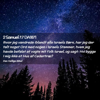 Picture 02 - 2 Samuel 7:7 DA1871 - Ihvor jeg vandrede iblandt alle Israels Børn, - Bible Verse Picture