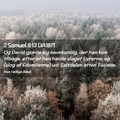 Picture 02 - 2 Samuel 8:13 DA1871 - Og David gjorde sig navnkundig, der han kom - Bible Verse Picture