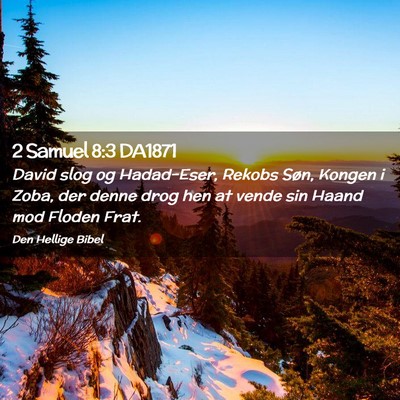 Picture 02 - 2 Samuel 8:3 DA1871 - David slog og Hadad-Eser, Rekobs Søn, Kongen i - Bible Verse Picture